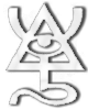 Eldar Spiritseer rune